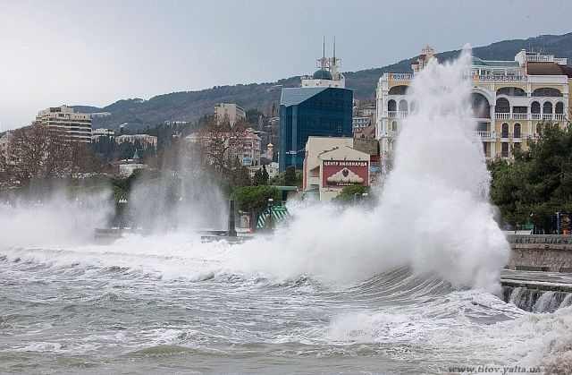 Елисей Бороздин | Ялта