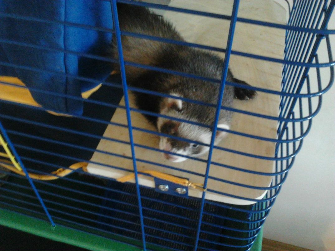 Тёма Денисов Cube | Киев