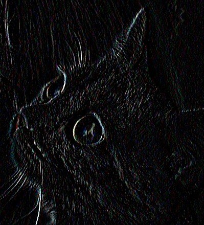 Кристина Старкова фото профиля #3