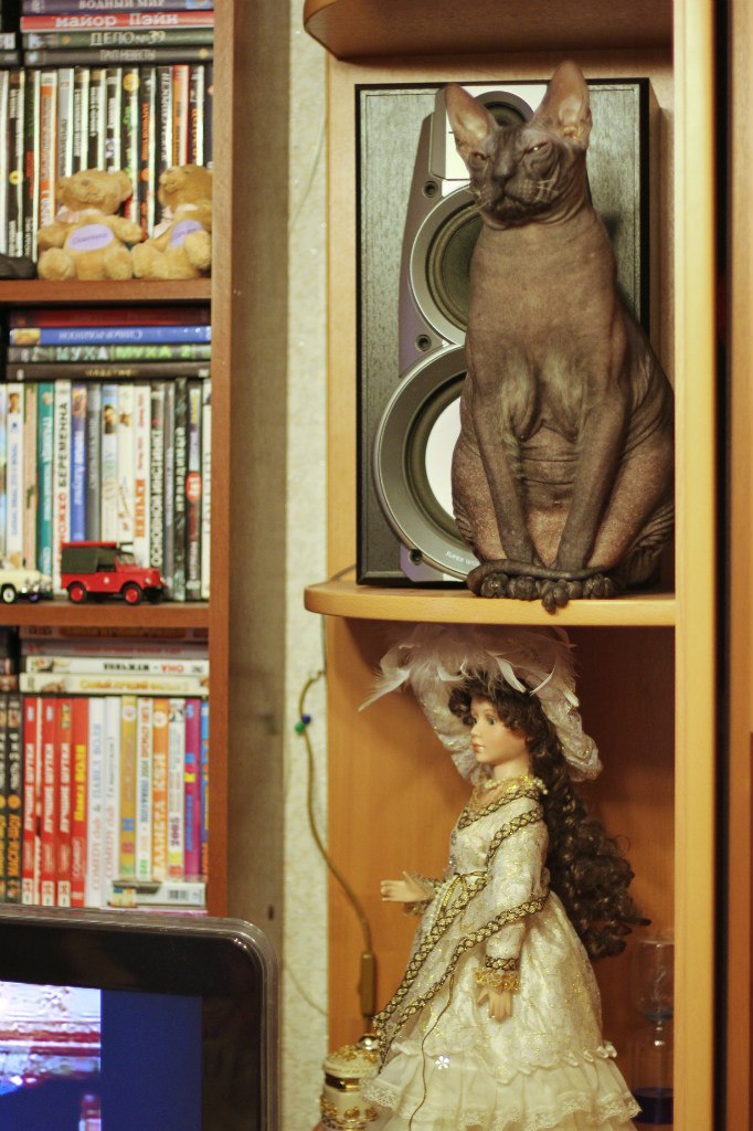 Юлия Каминская | Санкт-Петербург