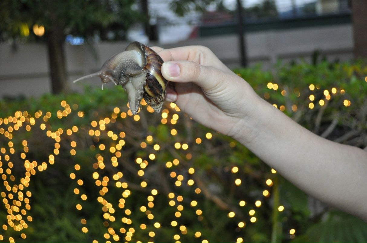 Елена Князева | Иваново