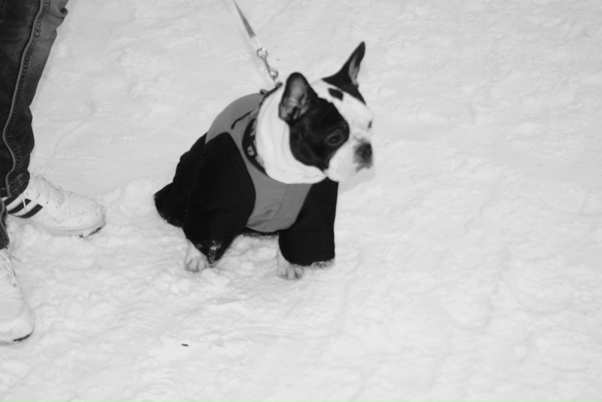 Вардгес Мовсисян Վարդգես Մովսիսյան | Санкт-Петербург