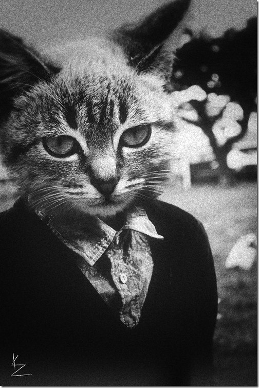 Владислав Ерошкин | Красноярск