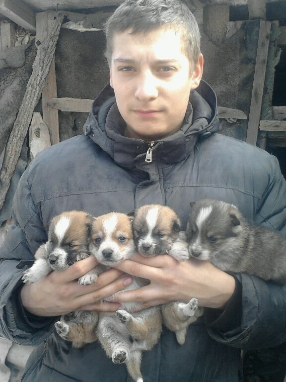 Богдан Рибкевич | Локачи