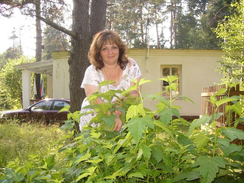 №5, Ника Герасимова, Иваново №5, Ника Герасимова, Иваново