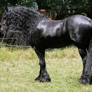 №7, Марина Титяева-Агеева, Санкт-Петербург №7, Марина Титяева-Агеева, Санкт-Петербург