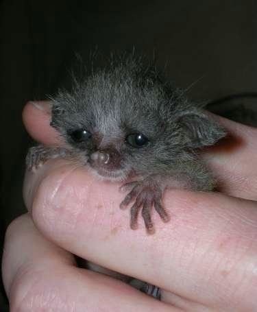 Мария Давыдова | Москва