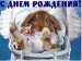 Катя Ташева фотография #18