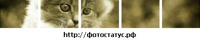 Фотография Евгений Омельченко