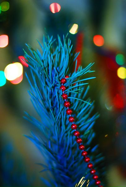 №164, Анастасия Мороз-Фомина, Запорожье №164, Анастасия Мороз-Фомина, Запорожье