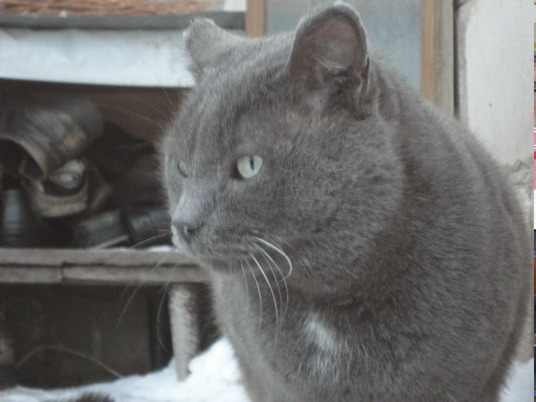 Фанис Ганиев SONY | Уфа