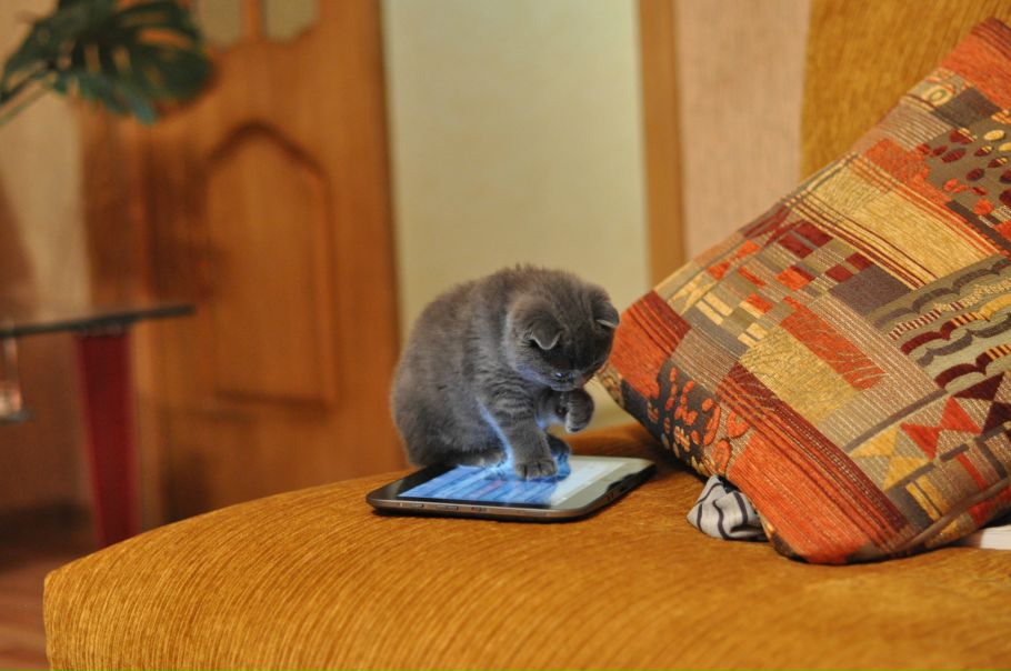 №64, Диана Белоусова, Оренбург №64, Диана Белоусова, Оренбург