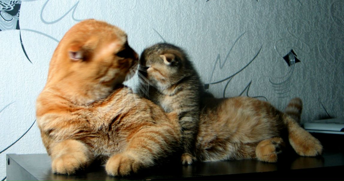 №57, Anton Bogdanov, Алматы №57, Anton Bogdanov, Алматы