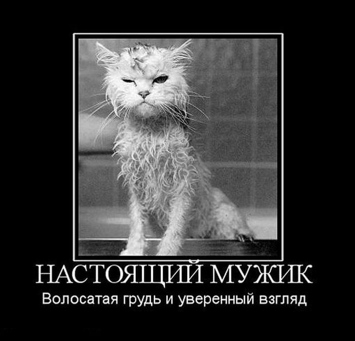 Юрий Степанов | Тольятти