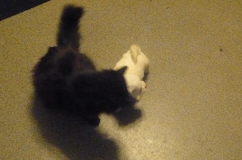 Марина Нижниковская (Проселкова) | Санкт-Петербург