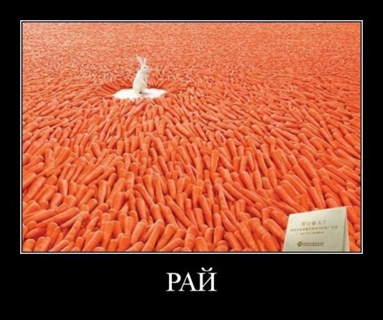 Никита Шавергин | Калуга