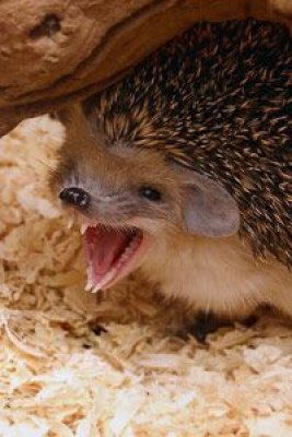 Стаська Прохорова | Москва