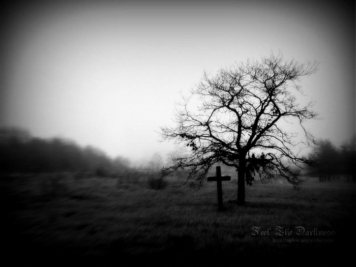 Петр Павленко | Киев