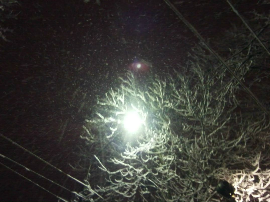 Никита Мединский | Симферополь