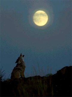 Евгений Кращук | Поворино