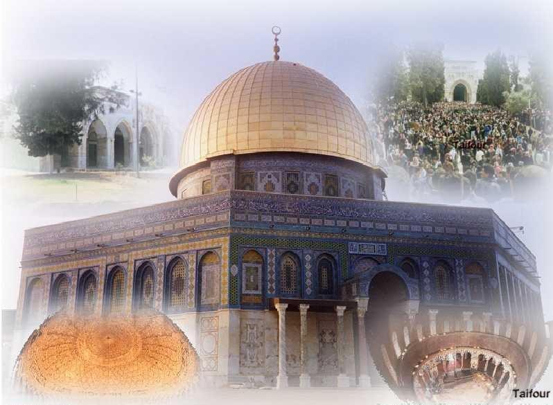 Ибрахим Давуд | Москва