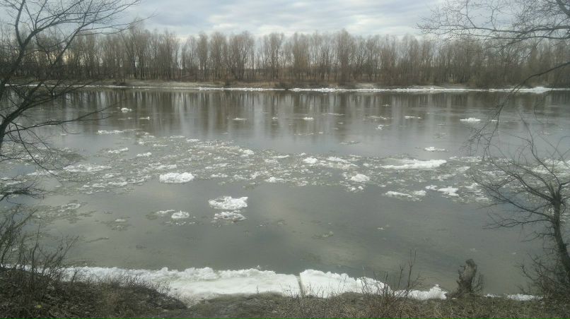 Андрей Поролло | Бровары