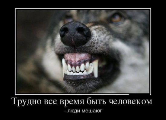 Денис Петров | Москва