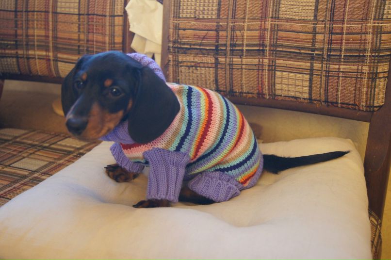 Сергей Кулишин | Москва