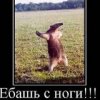 Аватар: Пополам Лалала