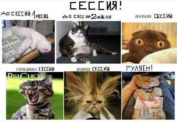 №6, Васьок Зихор №6, Васьок Зихор