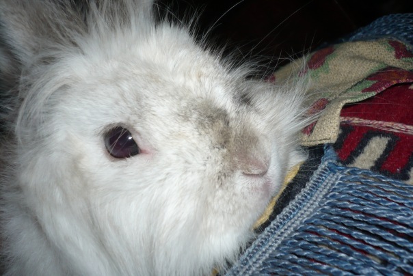 №64, Ирина Даниленко, Краснодар №64, Ирина Даниленко, Краснодар