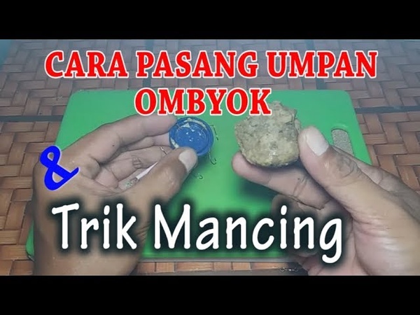 CARA MASANG UMPAN OMBYOK, Mancing BADER TAWES BELES, UMPAN