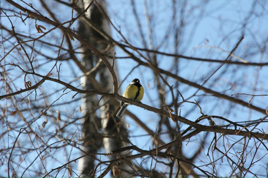 №5, Артём Зверковский, 31 год, Frankfurt am Main №5, Артём Зверковский, 31 год, Frankfurt am Main