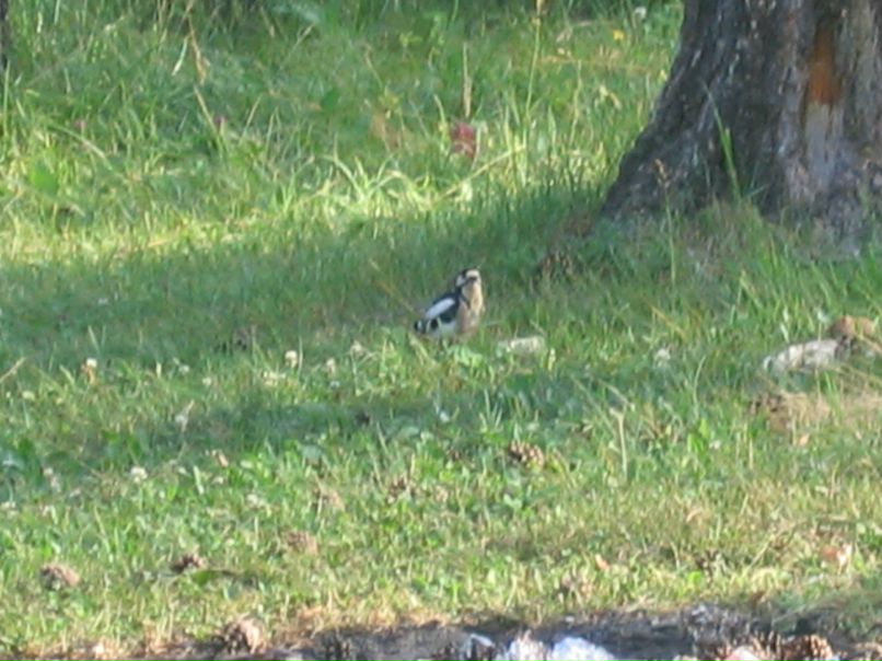 Дарья Писаренко | Лабинск