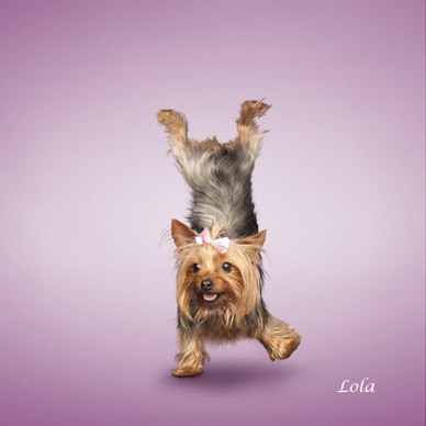 Александра Лебедева | 