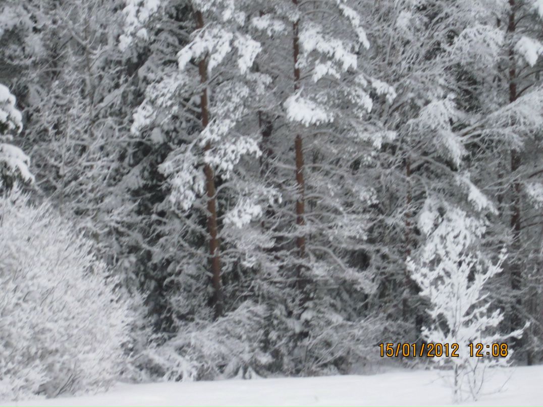 Марина Довнарович | Пудож