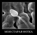 Фотография Андреевича Дмитрия