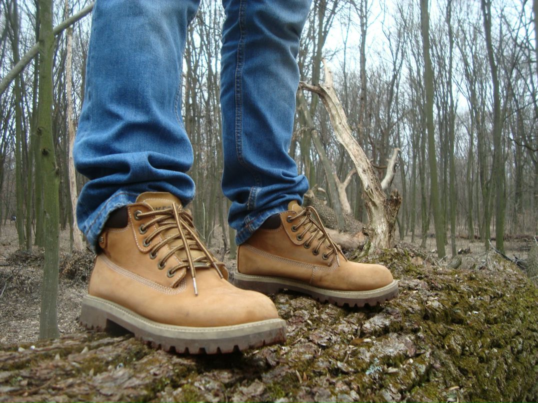 Алексей Ломако | Таллин