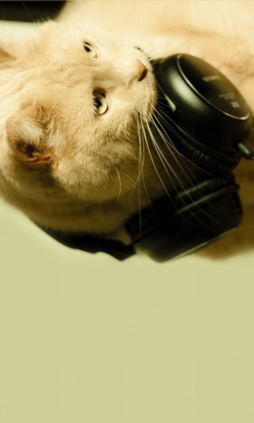 №5, Игорь Слободяник, 34 года, Киев №5, Игорь Слободяник, 34 года, Киев