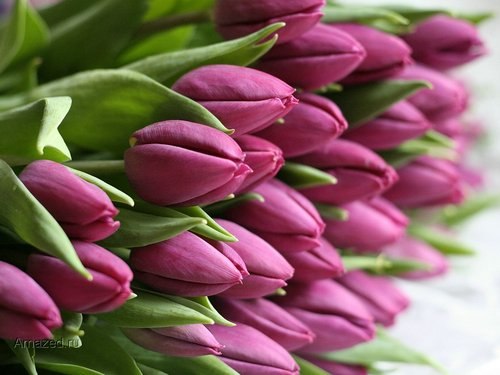 Дарья Дудыченкова | Серпухов