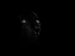 Ольга Доронина | Иркутск