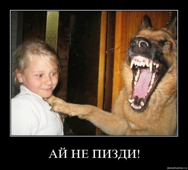 Алексей Король | Алябьевский