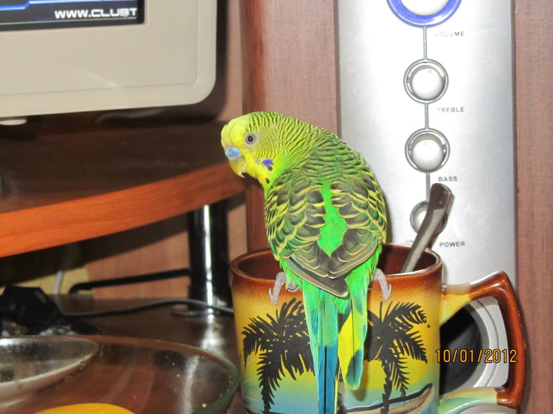 Руслан Минниханов | Уфа