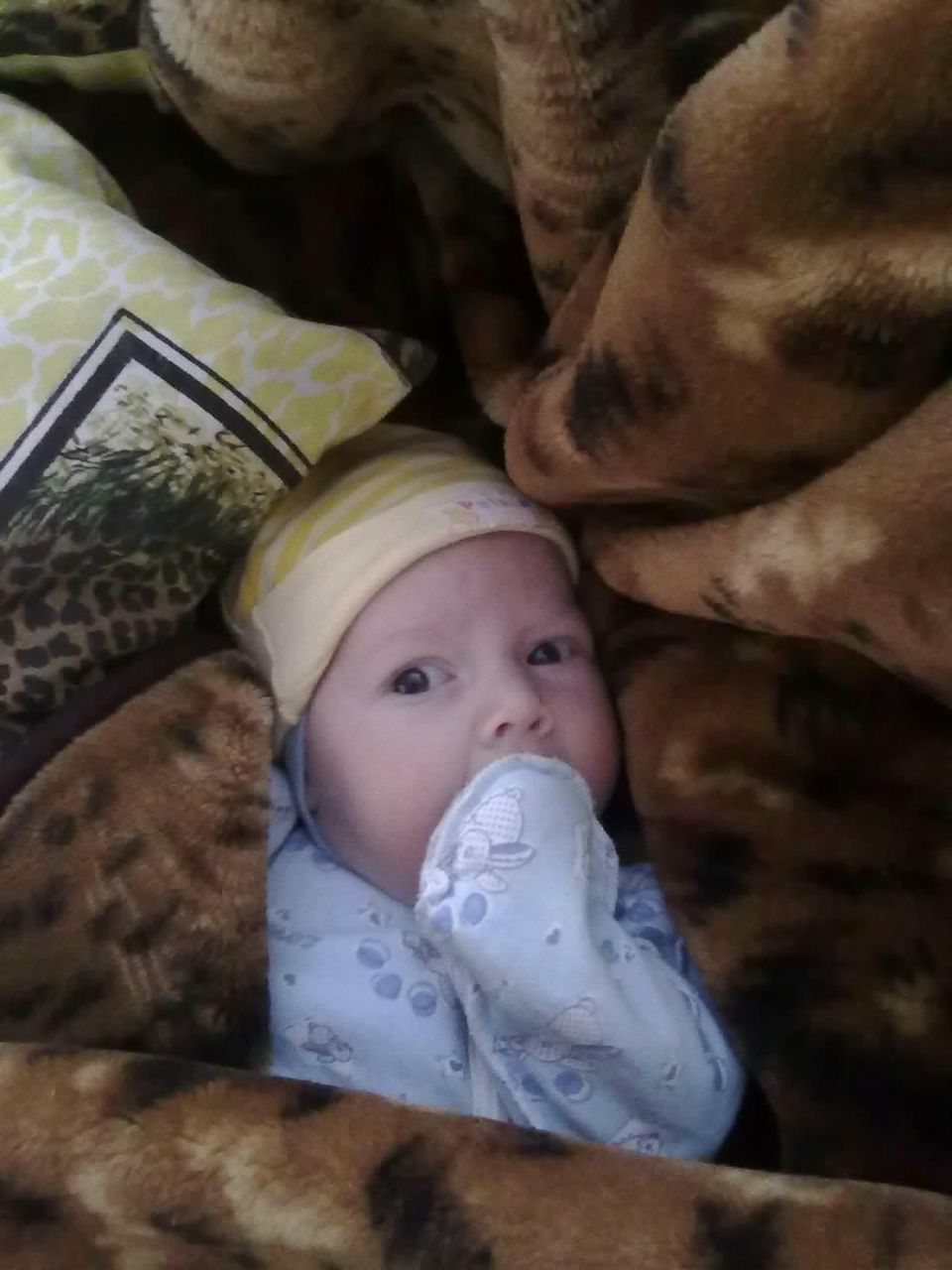 Анастасия Авершина Владимировна | Луганск