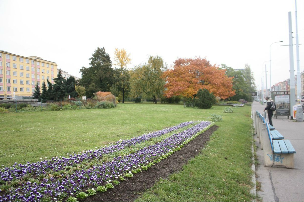 Владимир Кравченко | Санкт-Петербург