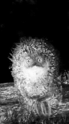 Алексей Смирнов | Барнаул