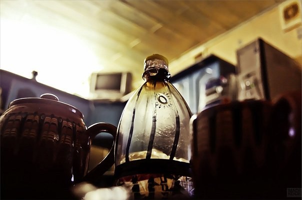 Михаил Мертвый Юрьевич | Санкт-Петербург