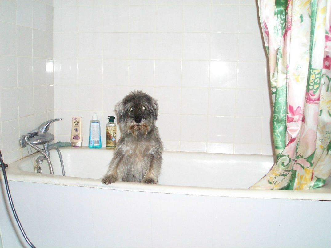 Галина Дубенко | Москва