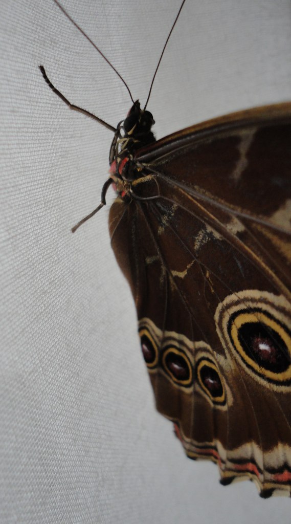 Алексей Иванов | Санкт-Петербург