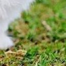 №102, Мария Хлызова №102, Мария Хлызова